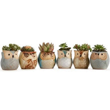 Load image into Gallery viewer, 6-Pack: 2.5 Inch Owl Pot Ceramic Base