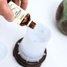 Load image into Gallery viewer, 6-Piece: Island Gateway Pure Aromatherapy Essential Oil Set