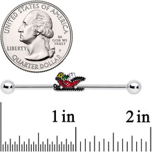 Load image into Gallery viewer, 14G Santas Sleigh Ride Industrial Barbell 38mm