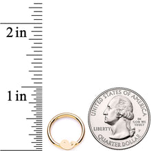 Load image into Gallery viewer, 16G 3/8 Gold Tone Whale of a Hinged Segment Ring