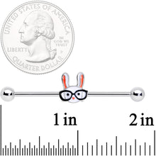 Load image into Gallery viewer, 14G Nerdy Easter Bunny Industrial Barbell 38mm