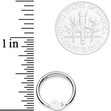 Load image into Gallery viewer, 16G 3/8 Whale of a Hinged Segment Ring