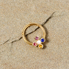 Load image into Gallery viewer, 16G 3/8 Pink Blue Gem Gold Tone Hinged Segment Ring