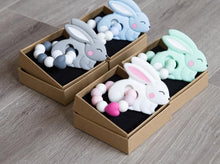 Load image into Gallery viewer, BPA Free Food Grade Silicone Teethers Cartoon Animals Shape Pacifier Clips, Accessories Baby Teething 1pc