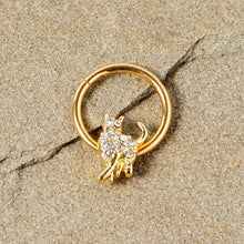 Load image into Gallery viewer, 16G 3/8 Clear Gem Gold Tone Glamourpuss Cat Hinged Segment Ring