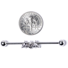 Load image into Gallery viewer, 14G Clear Black Gem Bat Halloween Industrial Barbell 38mm
