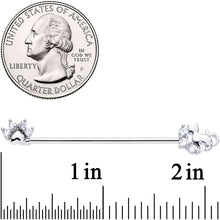 Load image into Gallery viewer, 14G Clear CZ Gem Paw Print Cat Industrial Barbell 38mm