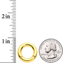 Load image into Gallery viewer, 6G 1/2 Gold Tone PVD Steel Hinged Segment Ring