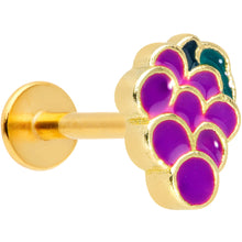 Load image into Gallery viewer, 16G 5/16 Gold Tone Sweet Purple Grapes Labret Monroe Tragus