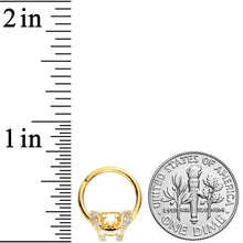 Load image into Gallery viewer, 16G 3/8 Clear Gem Gold Tone Flying Pigs Hinged Segment Ring