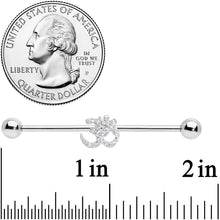 Load image into Gallery viewer, 14G Clear CZ Gem Amazing Om Industrial Barbell 38mm