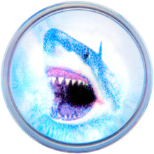 Load image into Gallery viewer, Blue Clear Red Acrylic Scary Shark Saddle Plug Set
