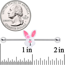 Load image into Gallery viewer, 14G Easter Bunny Flower Industrial Barbell 38mm