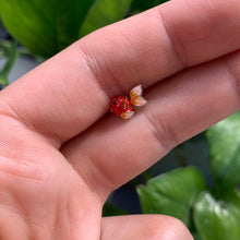Load image into Gallery viewer, 16G 5/16 Red Gem Gold Tone Blowfish Labret Monroe Tragus