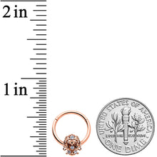 Load image into Gallery viewer, 16G 3/8 Clear CZ Gem Rose Gold Tone Elegant Hinged Segment Ring