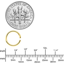 Load image into Gallery viewer, 18G 5/16 Gold Tone Rose Gold Tone Anodized Seamless Circular Ring Set of 12