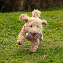 Load image into Gallery viewer, 7-Piece: Puppy Cord Chew Toys