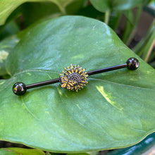 Load image into Gallery viewer, 14G Black Sunflower Butterfly Industrial Barbell 38mm
