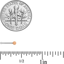 Load image into Gallery viewer, 20G 1/4 Tan Matte 2mm Nose Bone