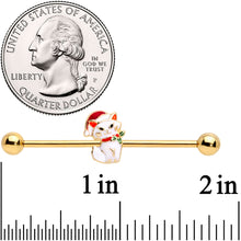 Load image into Gallery viewer, 14G Gold Tone Cat Santa Hat Christmas Industrial Barbell 38mm