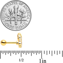 Load image into Gallery viewer, 16G 1/4 Clear CZ Gem Gold Tone Lavish Crown Cartilage Earring