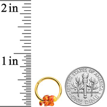 Load image into Gallery viewer, 16G 3/8 Gold Tone Brown Happy Squirrel Acorn Hinged Segment Rnig