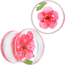 Load image into Gallery viewer, Clear Acrylic Color Pressed Flower Double Flare Plug Set