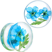 Load image into Gallery viewer, Clear Acrylic Color Pressed Flowers Double Flare Plug Set