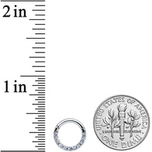 Load image into Gallery viewer, 14G 5/16 Clear CZ Gem G23 Titanium Paved Hinged Segment Ring
