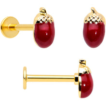 Load image into Gallery viewer, 16G 5/16 Clear Gem Gold Tone Squirrel Leaf Labret Tragus Set of 3