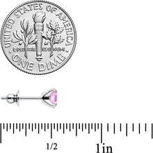 Load image into Gallery viewer, Pink CZ Gem 5mm G23 Titanium Post Stud Earrings