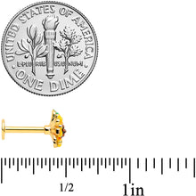Load image into Gallery viewer, 16G 5/16 Gold Tone Summer Sunflower Labret Monroe Tragus