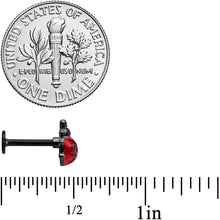 Load image into Gallery viewer, 16G 5/16 Black Classic Ladybug Labret Monroe Tragus