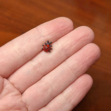 Load image into Gallery viewer, 16G 1/4 Black Classic Ladybug Cartilage Tragus Earring