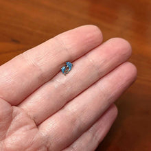 Load image into Gallery viewer, 16G 5/16 Black Gem Blue Leaping Dolphins Labret Monroe Tragus