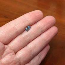 Load image into Gallery viewer, 16G 1/4 Black Gem Blue Leaping Dolphins Cartilage Tragus Earring