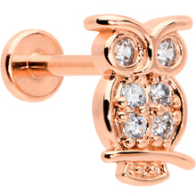 Load image into Gallery viewer, 16G 5/16 Clear CZ Gem Rosy Hue Owl Internal Thread Labret Tragus