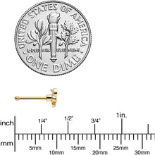 Load image into Gallery viewer, 20G 1/4 Clear Gem Gold Tone Beauty Bee Nose Bone