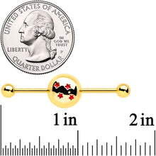 Load image into Gallery viewer, 14G Gold Tone Licensed Dragonball Z Industrial Barbell 38mm