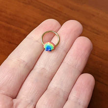 Load image into Gallery viewer, 16G 3/8 Gold Tone Rainbow Scallop Shell Hinged Segment Ring