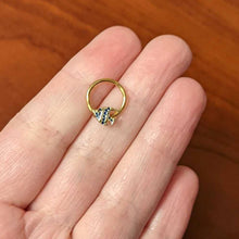 Load image into Gallery viewer, 16G 3/8 Blue Gem Gold Tone Adorable Angelfish Hinged Segment Ring