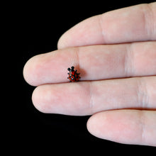 Load image into Gallery viewer, Black Classic Ladybug Top End Barbell Tongue Ring
