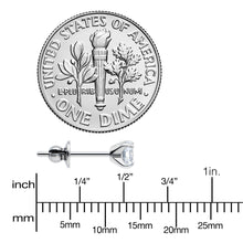 Load image into Gallery viewer, 4mm Clear CZ Gem Implant Grade Titanium Stud Earrings