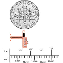 Load image into Gallery viewer, 16G 1/4 Clear CZ Gem Rose Gold Tone Lock It Up Labret