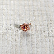 Load image into Gallery viewer, 20G 1/4 Red Gem Rose Gold Tone Octogram Star Nose Bone