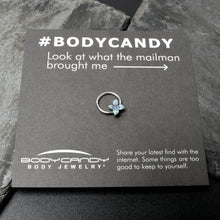 Load image into Gallery viewer, 16G 3/8 Glamour Butterfly Hinged Segment Ring