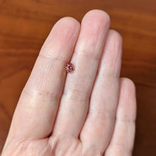Load image into Gallery viewer, 20G 7mm Pink Gem Rose Gold Tone Rococo Star L Shape Nose Ring