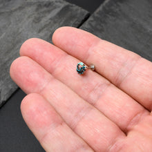 Load image into Gallery viewer, 16G 5/16 Leaping Blue Dolphin Labret Monroe Tragus