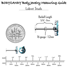 Load image into Gallery viewer, 16G 5/16 Leaping Blue Dolphin Labret Monroe Tragus