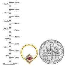 Load image into Gallery viewer, 16G 3/8 Clear Pink Gem Gold Tone Open Eye Hinged Segment Ring